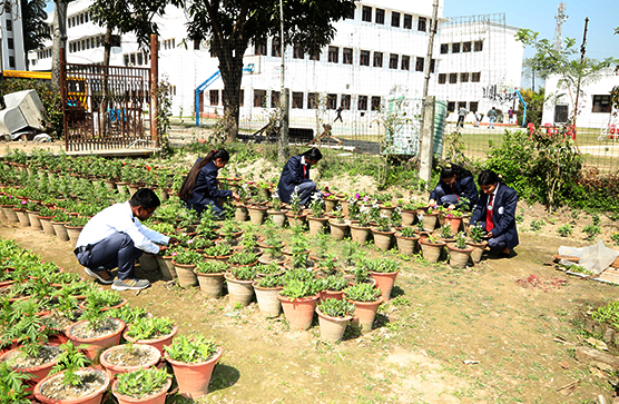 greenhouse-nursery