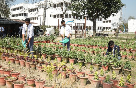 mushroom-cultivation-unit