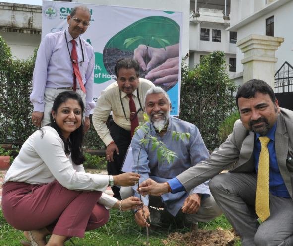 Tree Plantation Drive on Harela